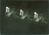 Lakeside Laboratory, the University of Iowa, July 28, 1956 and chemistry pre-medics, The University of Iowa, December 20, 1910