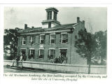 People posed on  steps and windows of Mechanics' Academy, the University of Iowa, 1870