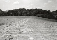 1995  After construction of sediment basin on Dale Edmonds' farm