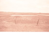 Fenced farmland with Water in the Field