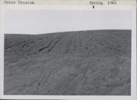 Water erosion in South Fork Township; Delaware County, Iowa.