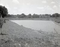 Pond surrounded by trees and grass