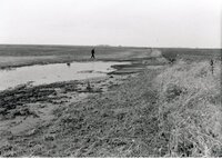 Man walks in field with excess water