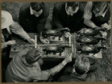 Examining a horse hitch model, 1940