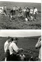 Soil judging, 1991