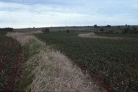 Conservation progress on Jim Fassler's farm.
