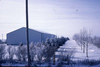 R.D. Thomsen windbreak
