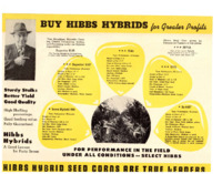 Hibbs Hybrid Seed Corn brochure