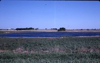 Larry Braby's Farm Before and After a Wetland Construction Project.