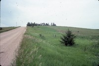 Residue contoured crops on the farm of Fred Conley.