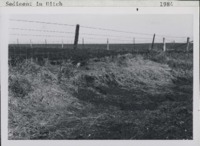Sediment collection in the ditch.
