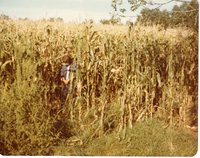 Tony Houston checks out corn