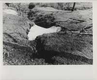 Gully erosion.