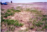 Tile outlet, 2001