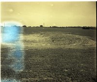 Scenes of Bare Cropland