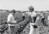 1978 Men on no-till tour