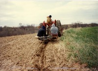 Jackson County tree planting 