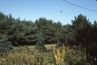 Quad State Wildlife Award to Duane and Lucille Kent's farm.