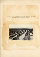 1934 - 1938 Multi-State Photograph Collection  