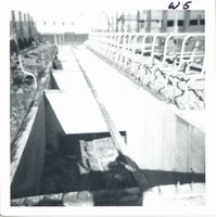 Ron Tracy feedlot pollution control pit