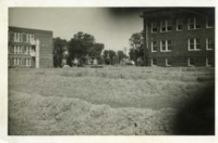 Blue Grass Drying at the Old High School