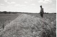 Man stands in grassy field