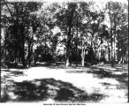 City Park, Iowa City, Iowa, 1910