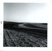 Terraces on Robert Wiese cropland