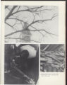 168_1967 Yearbook