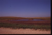 Wetland Project on Jeff Morrison's Farm.