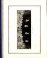 1914 Yearbook