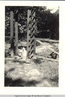Denise, the dog sitting under the playhouse trellis
