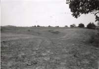 1995  Proposed Terracing project site on Dale Edmunds' farm