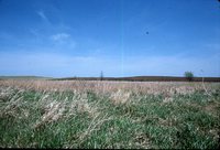 Wetland Area on Henry Hanby's Farm.
