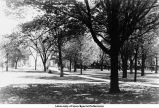 Old Capitol central walk, The University of Iowa, between 1915 and 1920