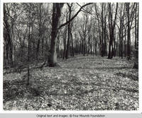 Native American burial mounds