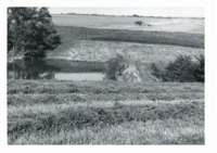 Bausch pond, 1965