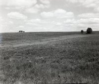 Views of Pasture and Grasslands