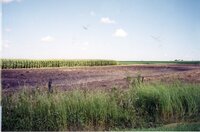 2001  Grassed waterway reconstruction in Washington Township