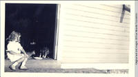 Vidie Burden, Sloppy, the cat and her kittens in the barn