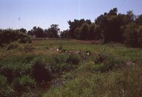 Scenes on the Hagedorn Farm.