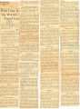 Wild tales on WAACs found lies