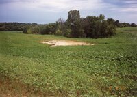 1995  Terraces on Bill Tucker's Farm