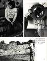 1982 Yearbook
