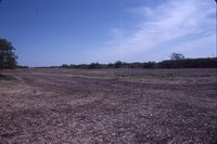 Larry Braby's Farm Before and After a Wetland Construction Project.