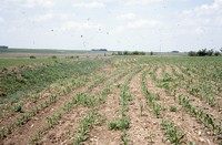 State Conservation Award given to Larry Knaack's farm property.  
