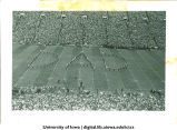 Marching band performing at football game on Dad's Day, The University of Iowa, 1940s