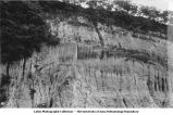 Pleistocene, loess sections, Natchez, Miss., late 1890s or early 1900s