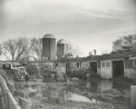 Cattle Barn fire, 1958