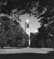 Campanile, 1952